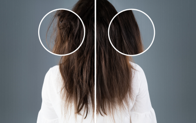 Les Cheveux : L&rsquo;Enigme de la Mémoire Humaine
